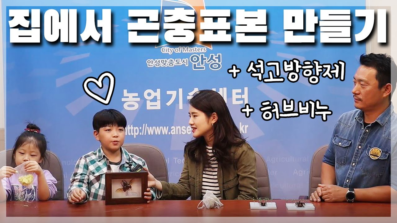 안성맞춤 온라인 농촌체험교육 곤충편 유튜브 캡처화면. [안성시 제공]
