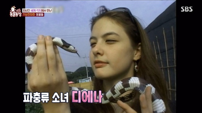 [SBS영상 캡처]