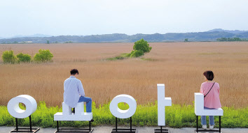 서해와 금강이 만나는 익산 용안 성당포구 갈대밭