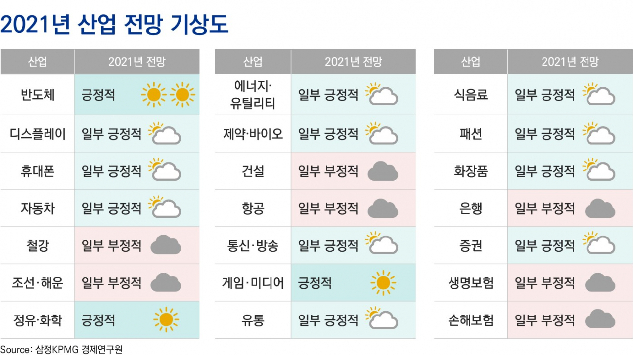 [삼정KPMG 제공]