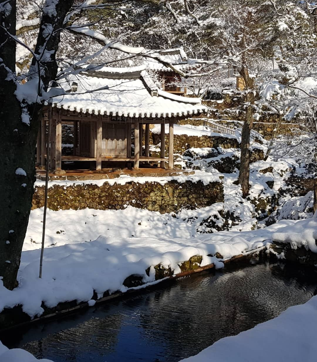 담양 제주양씨 소쇄원 연못에서 본 광풍각과 제월당 [창암종가 제공]