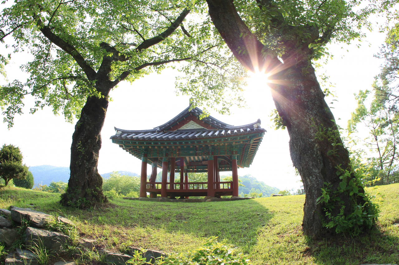 물염정 근경