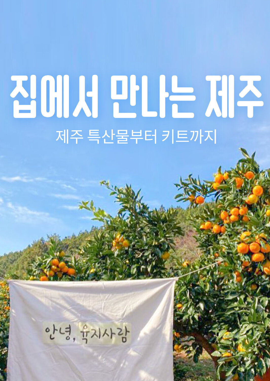 프립의 ‘집에서 만나는 제주’ 이벤트