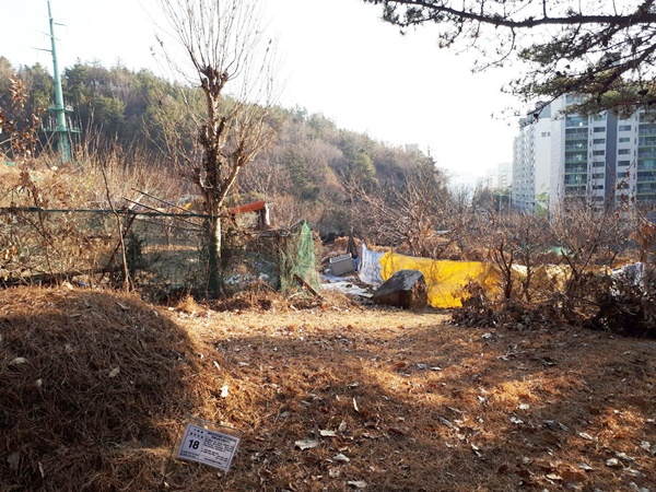 전남 순천시 봉화산 자락에 아파트 시공을 앞두고 묘지주인 소재파악을 위한 푯말이 꽂혀 있다.