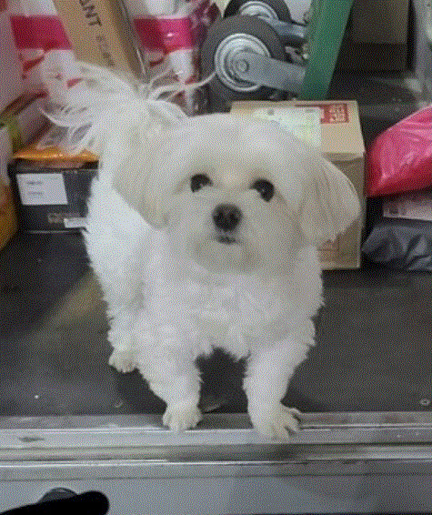 [온라인 커뮤니티 갈무리]