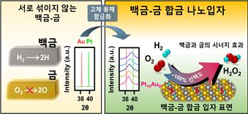 금-배금 나노입자 합성 모식도.[KIST 제공]