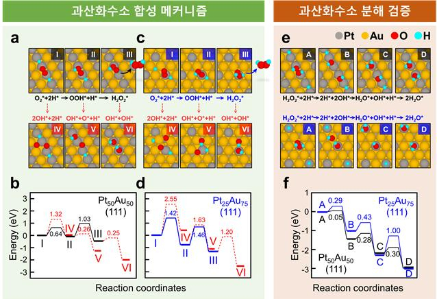 계산과학을 통해 입증된 금-백금 나노입자 촉매의 과산화수소 생산 매커니즘.[KIST 제공]