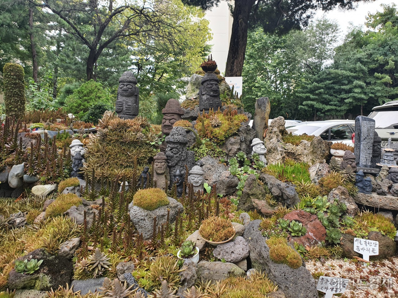 상계주공13단지'바위솔정원'. [노원구 제공]