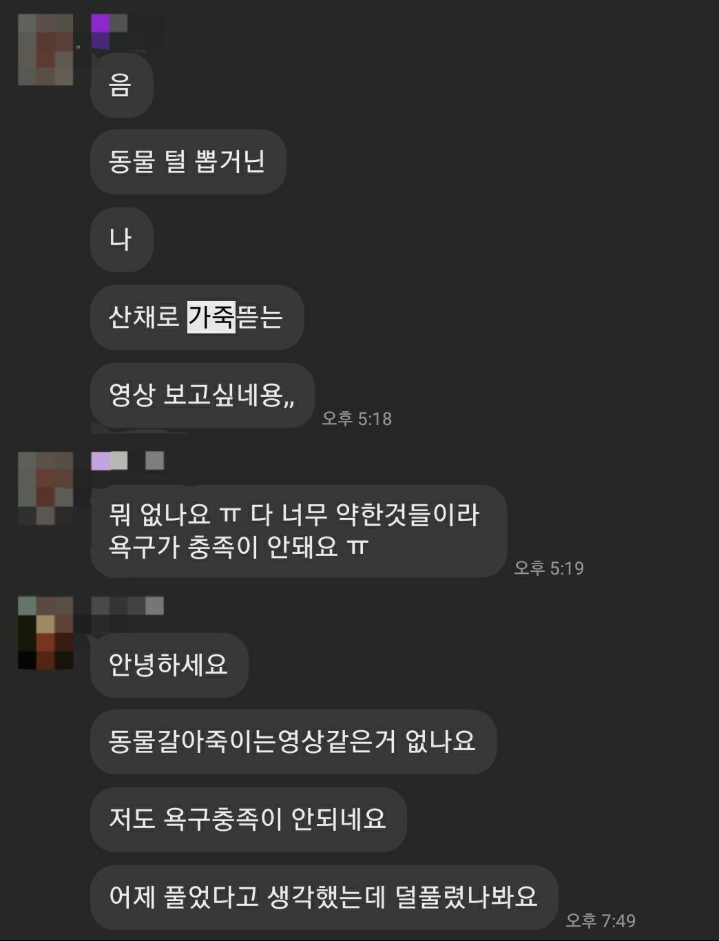 길고양이를 학대한 가해자들이 모인 ‘고어전문방’에 있던 사람들이 나눈 대화의 일부. “동물의 가죽을 산 채로 뜯는 영상, 동물을 갈아 죽이는 영상을 원한다”는 내용이다. [A 씨 제공]