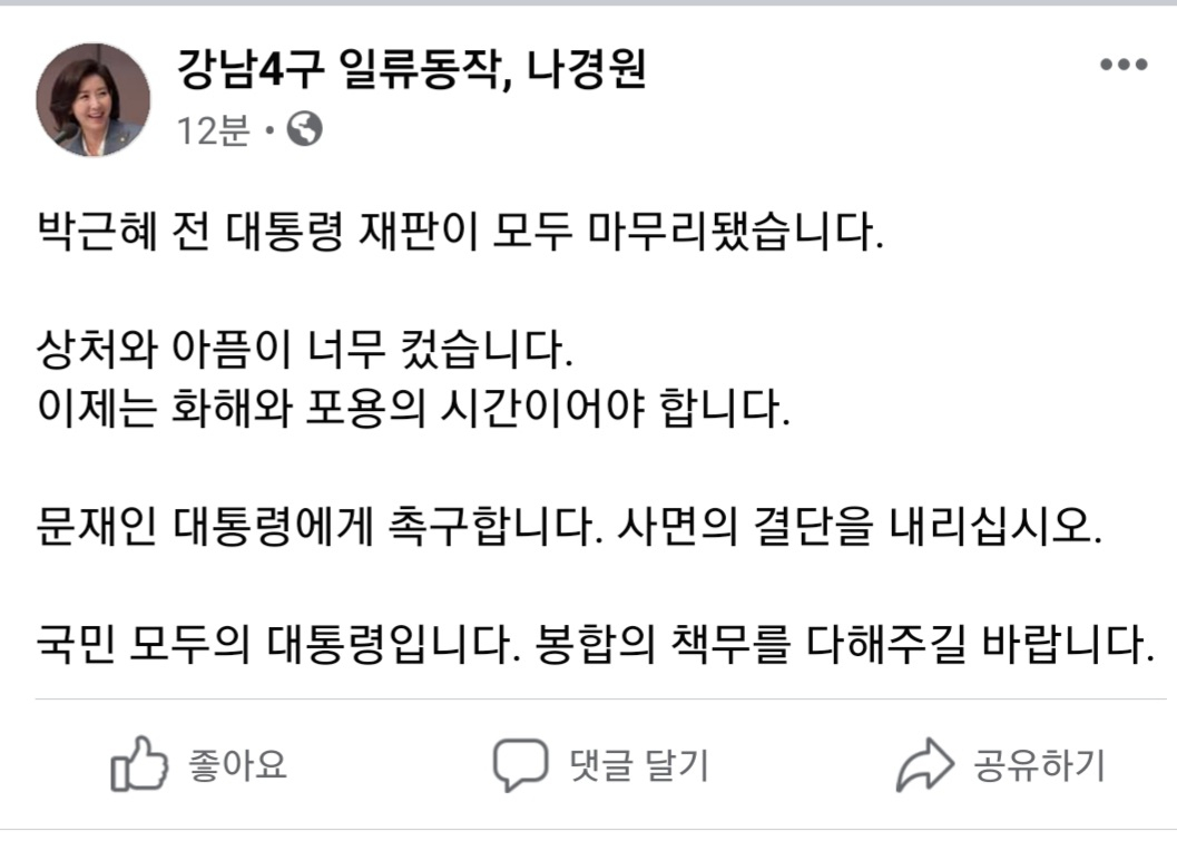 [나경원 전 의원 페이스북 캡처]