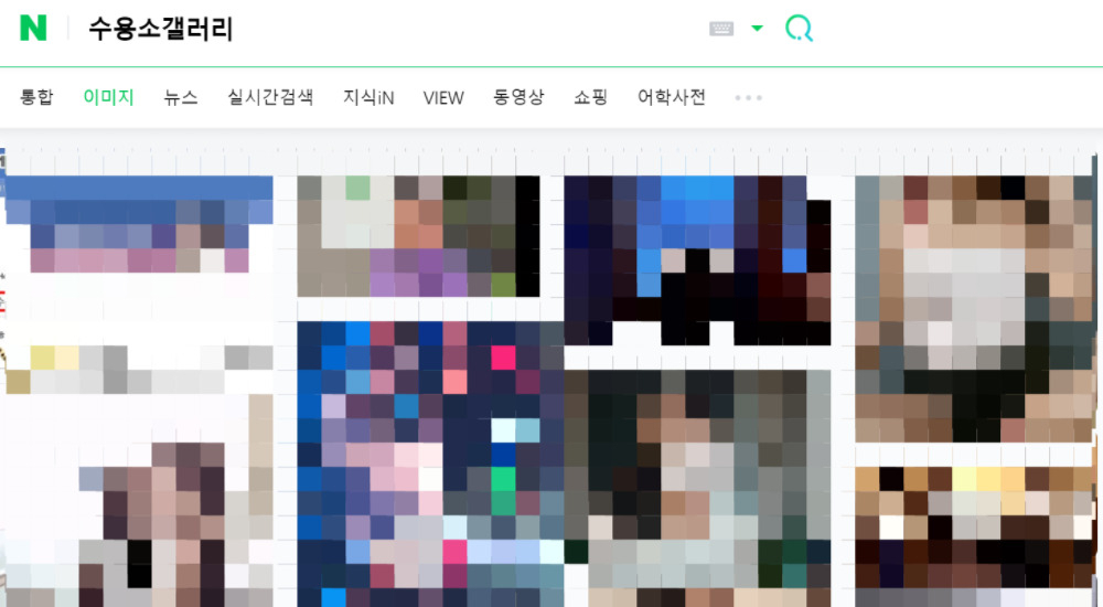 논란이 됐던 남초 커뮤니티 에펨코리아의 수용소 갤러리는 현재 폐쇄됐지만, 포탈에만 검색해도 노출이 과한 SNS사진들이 다수 검색된다. [네이버 검색 갈무리]