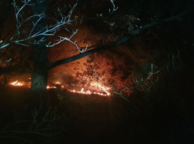18일 0시께 서울 노원구 상계동 수락산에서 발생한 산불 모습. [산림청 제공]