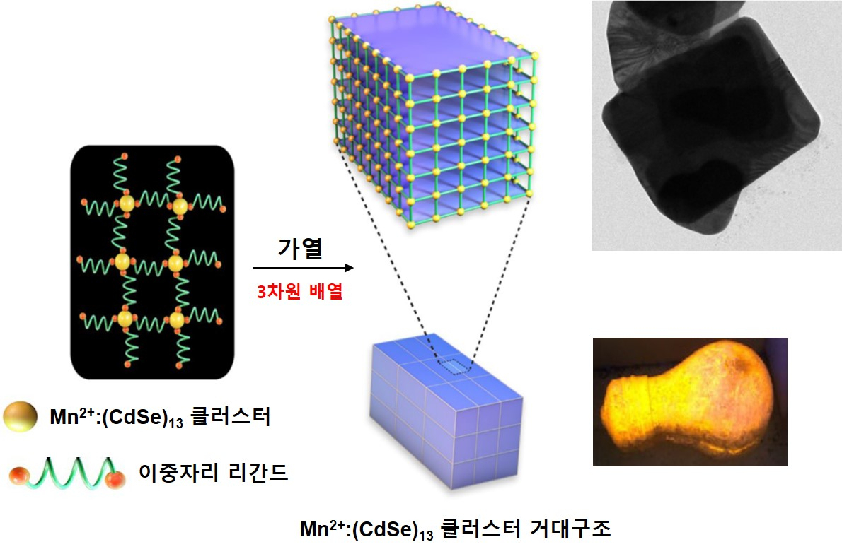 반도체 클러스터의 응집 거대구조 형성 과정 모식도.[IBS 제공]