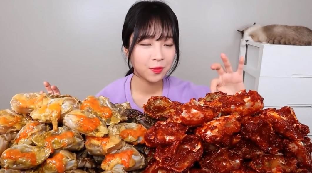 [쯔양 유튜브]
