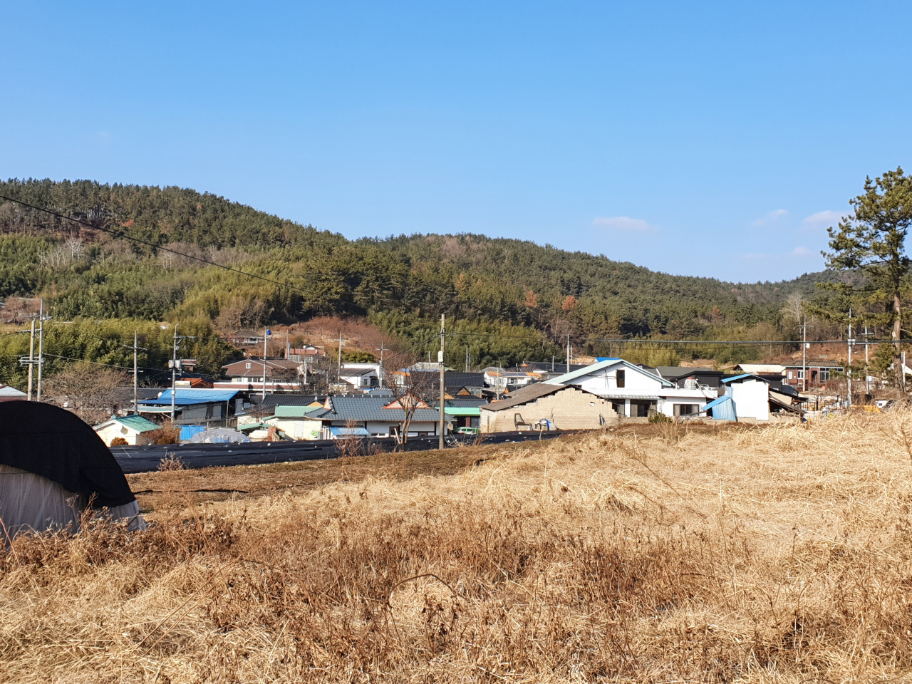 경상북도 경주시 강동면에 위치한 모아초등학교 모서분교장의 주변 가옥들 모습. 단층집들 사이로 인적을 거의 찾아볼 수 없다. 김지헌 기자/raw@heraldcorp.com