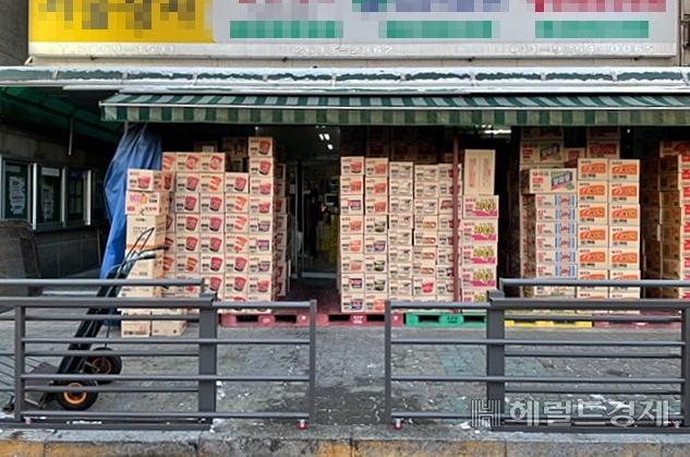 영중초와 도매시장 인근 보도에 차량 진입을 막는 안전펜스가 미닫이형으로 설치됐다. [영등포구 제공]