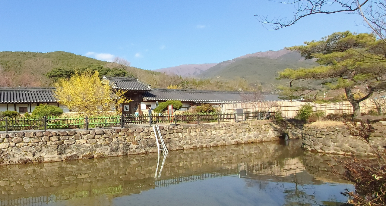 운조루 앞 연못과 소나무 섬. 여름이면 연꽃이 만개한다.