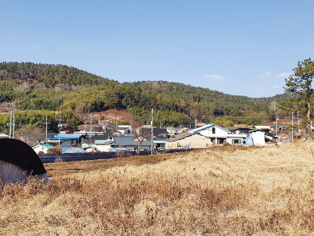 경상북도 경주시 강동면에 위치한 모아초등학교 모서분교장. 2021년 3월 폐교되는 분교장의 텅빈 운동장에는 학생들의 발이 돼 준 스쿨버스 한 대만이 자리를 지키고 있다(위쪽). 경상북도 경주시 강동면에 위치한 모아초등학교 모서분교장의 주변 가옥들 모습. 단층집들 사이로 인적을 거의 찾아볼 수 없다. 김지헌 기자