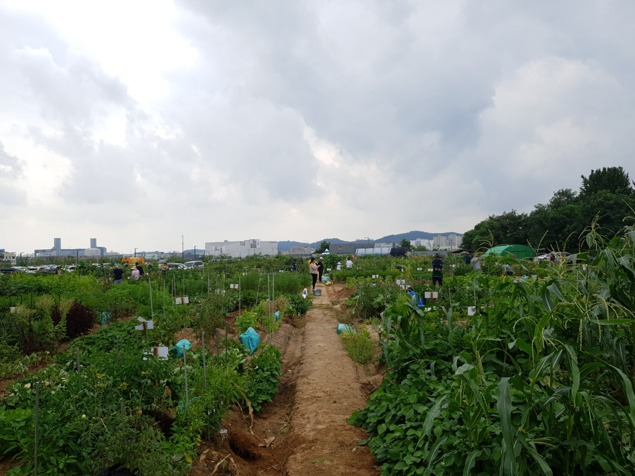 화성시민행복 텃밭