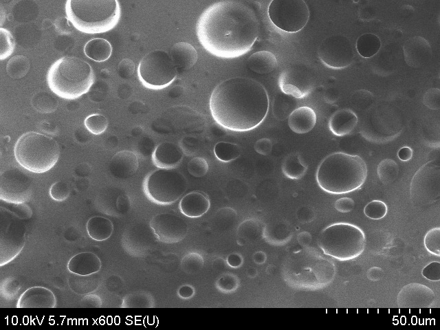 균일한 미세공극과 높은 수분 투과도를 가진 다공성 폴리머 단면.[KAIST 제공]