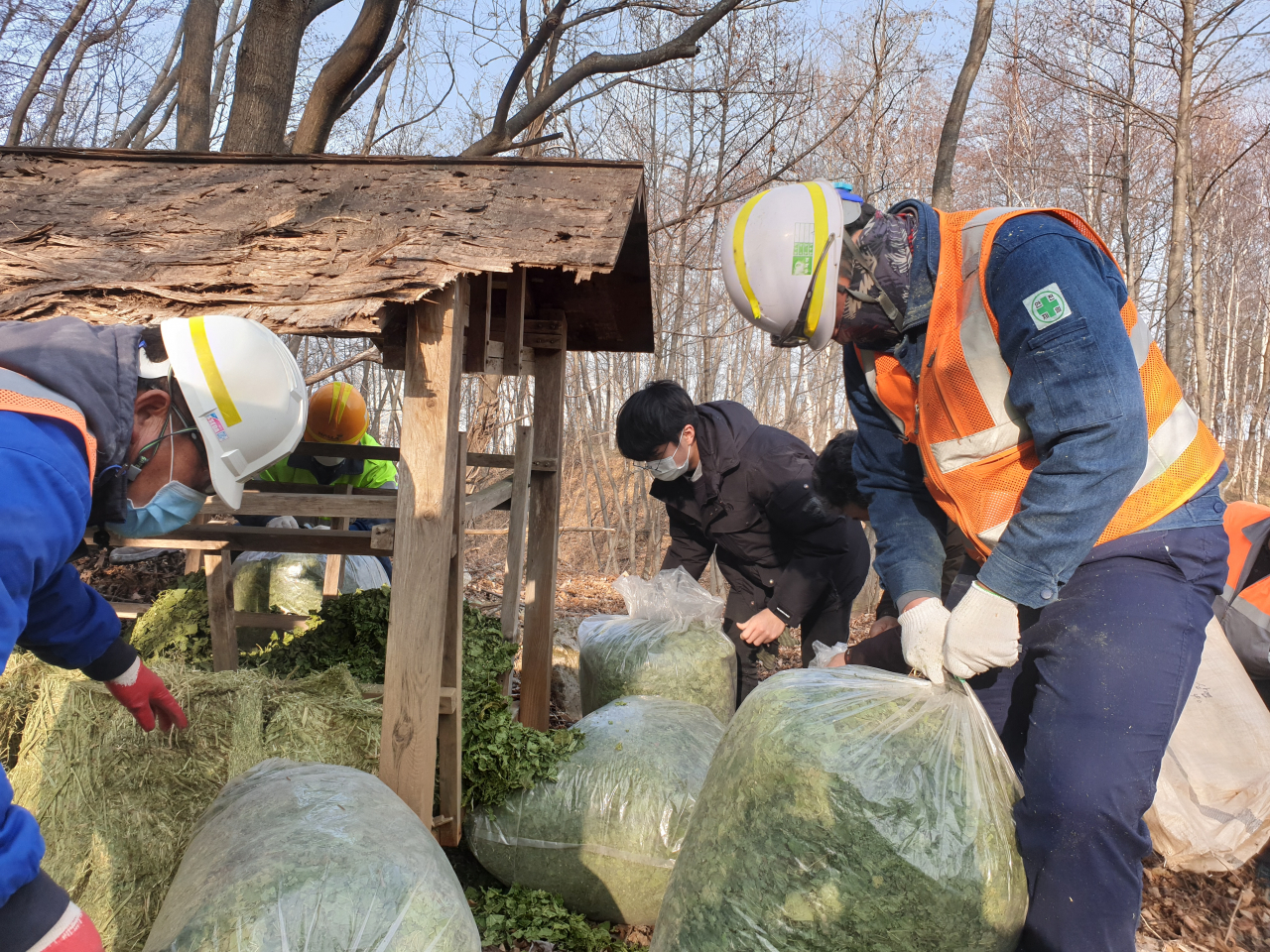 한라시멘트가 민관공 합동으로 ‘겨울철 야생동물 먹이주기 및 올무수거 행사’를 내달 개최한다. [한라시멘트 제공]