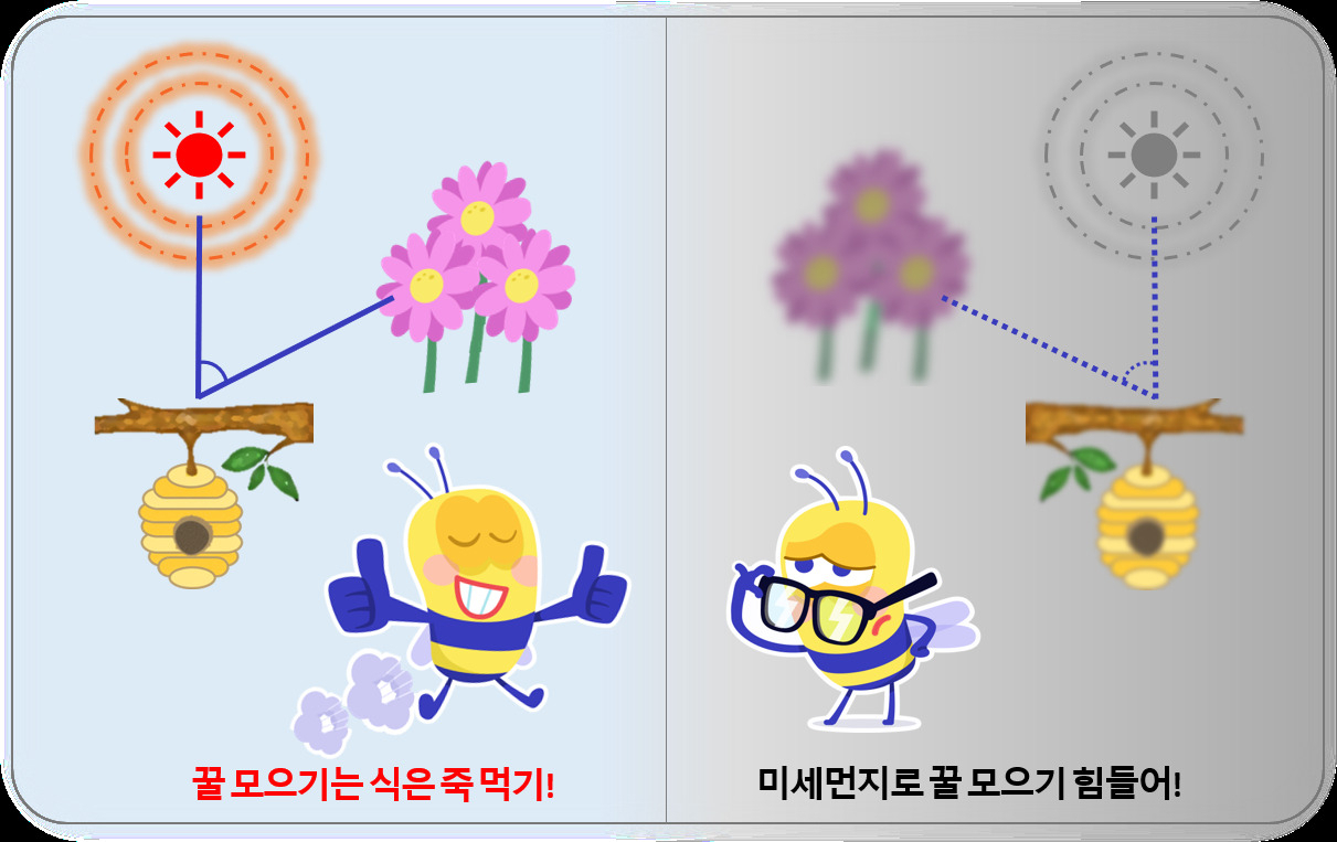 초미세먼지에 꿀벌들 길 헤멘다