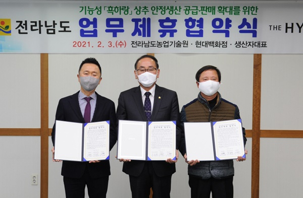 전남농업기술원과 현대백화점이 기능성 상추 ‘흑하랑’ 공급과 판매협약을 맺고 있다. [전남도 제공]