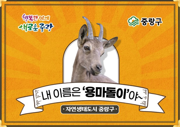 용마돌이. [중랑구제공]