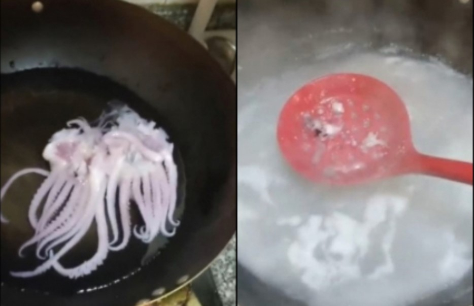 물에 데치자 형체가 사라진 오징어. [SNS 영상 캡처]
