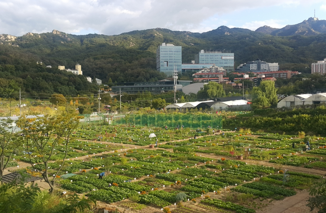 강감찬 텃밭 전경. [관악구 제공]