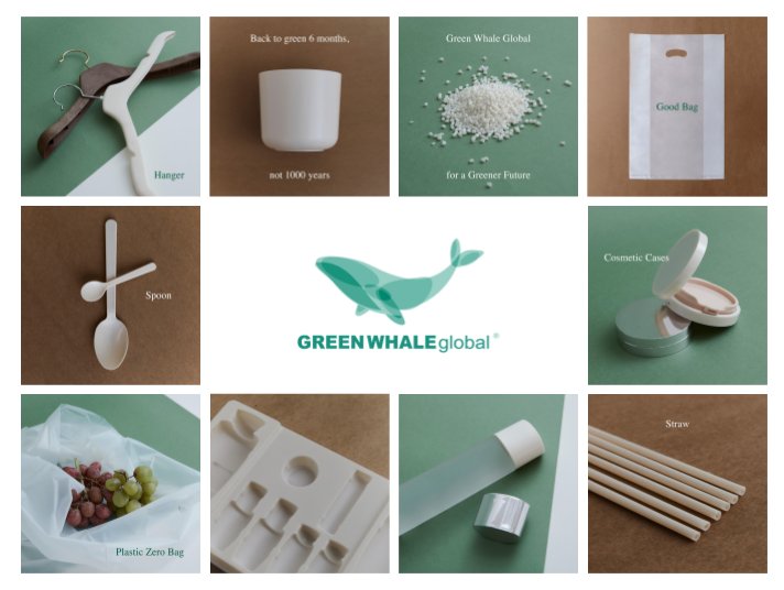 (Green Whale Global)