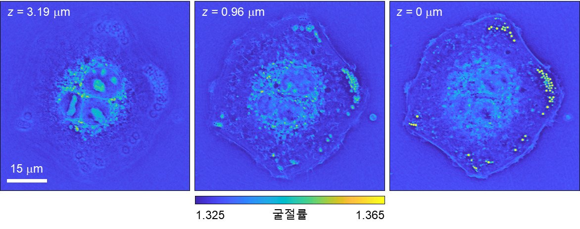 개발된 홀로그래피 기술로 촬영한 A549 암세포의 3차원 굴절률 정보.[KAIST 제공]