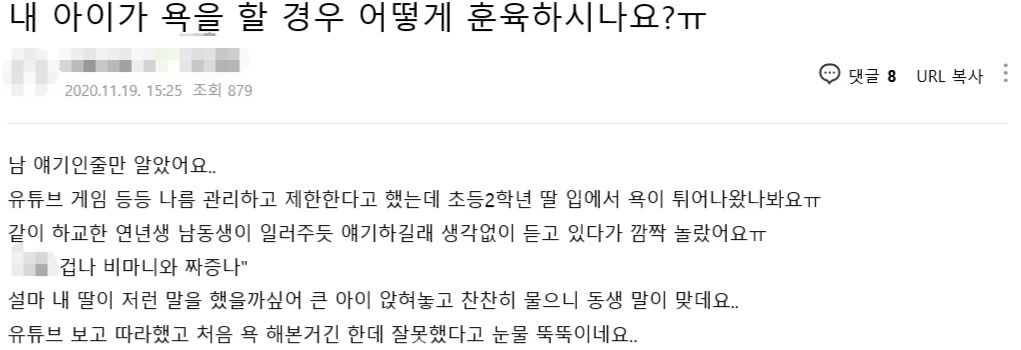 한 맘카페에 올라온 학부모의 글 [온라인 커뮤니티 캡처]