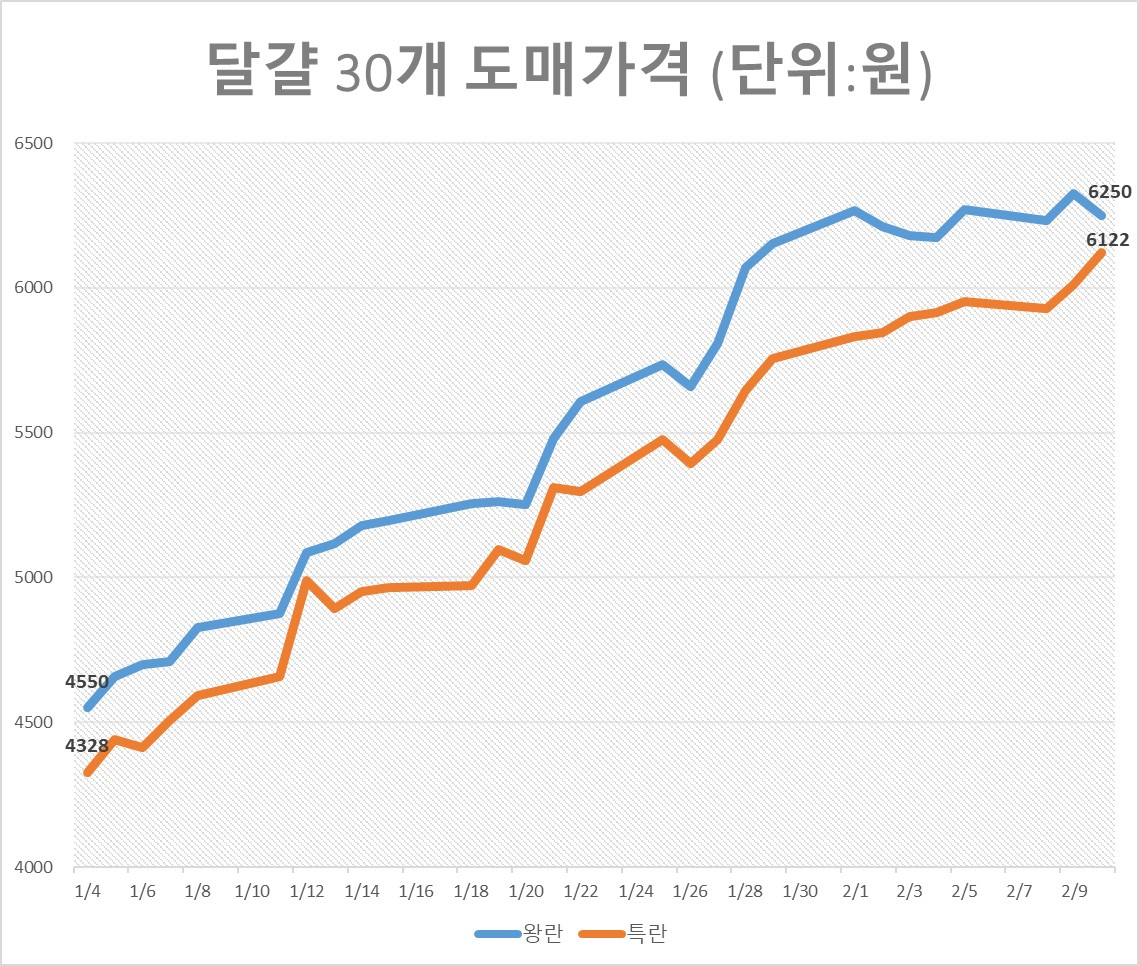 달걀 30개 도매가격 [축산물품질평가원 축산유통정보 제공]