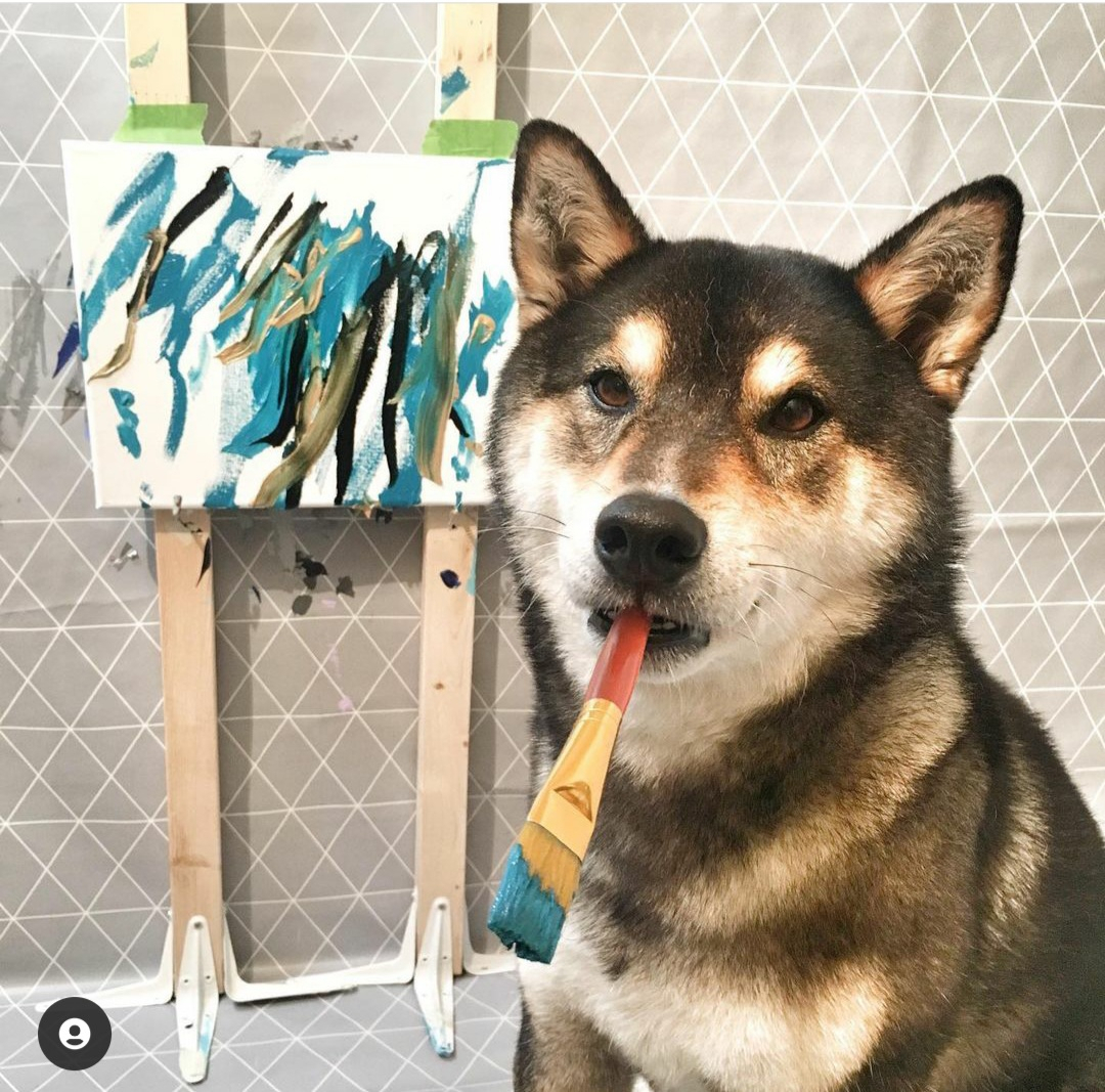 그림 그리는 개 '헌터' [shiba.art.online 인스타그램 캡처]