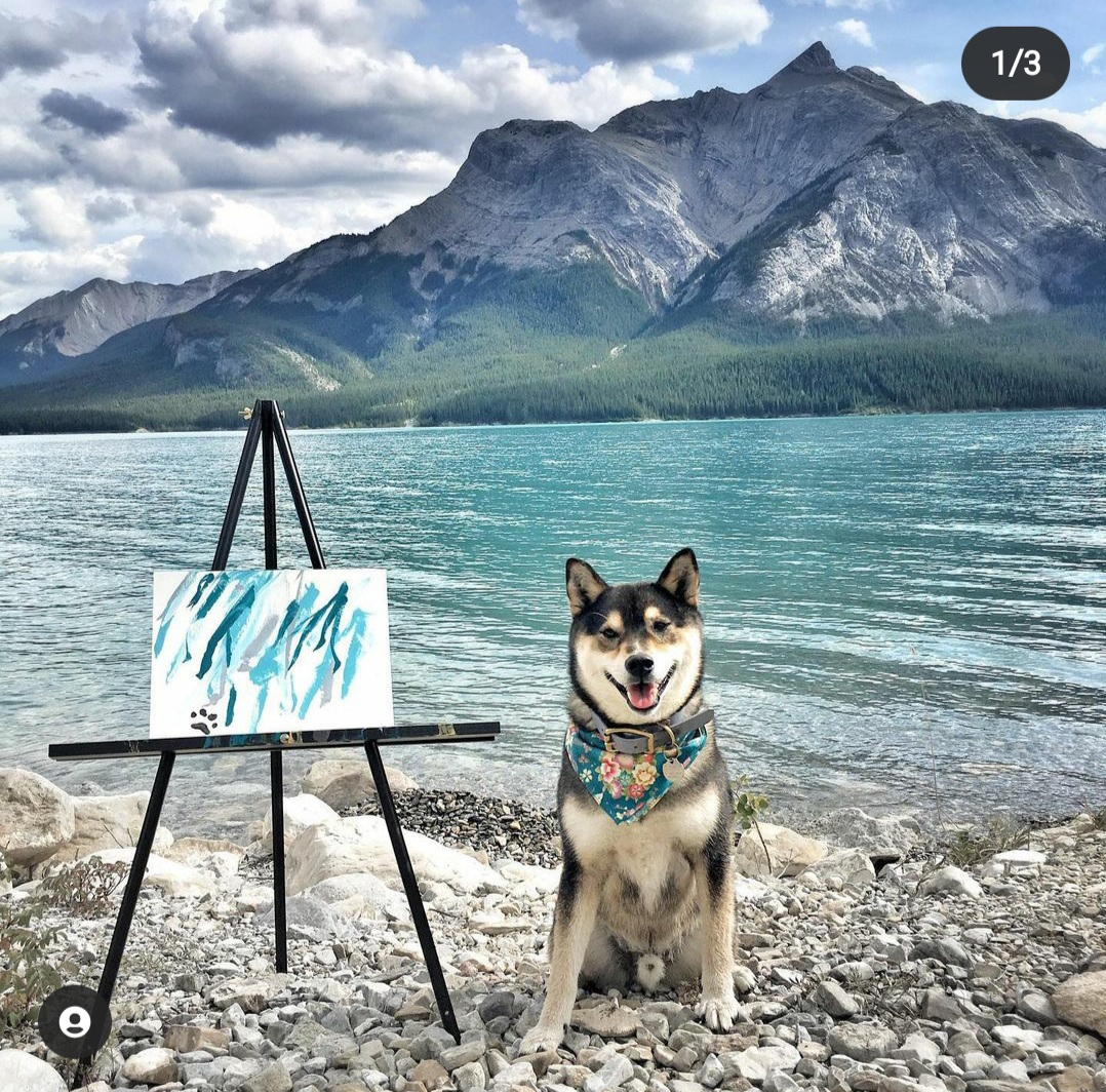 헌터는 산과 호수 등 경이로운 자연 풍광 앞에서 그림 그리는 것을 좋아한다. [shiba.art.online 인스타그램 캡처]