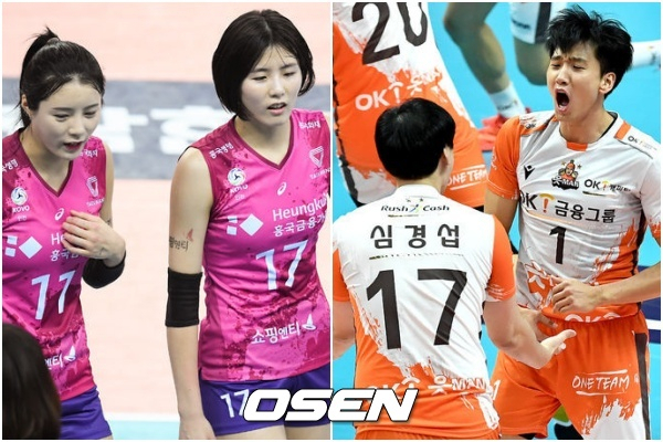 학폭을 인정하며 무기한 출전정지 중인 흥국생명의 이재영·다영 자매와 OK금융그룹의 송명근·심경섭. [OSEN]