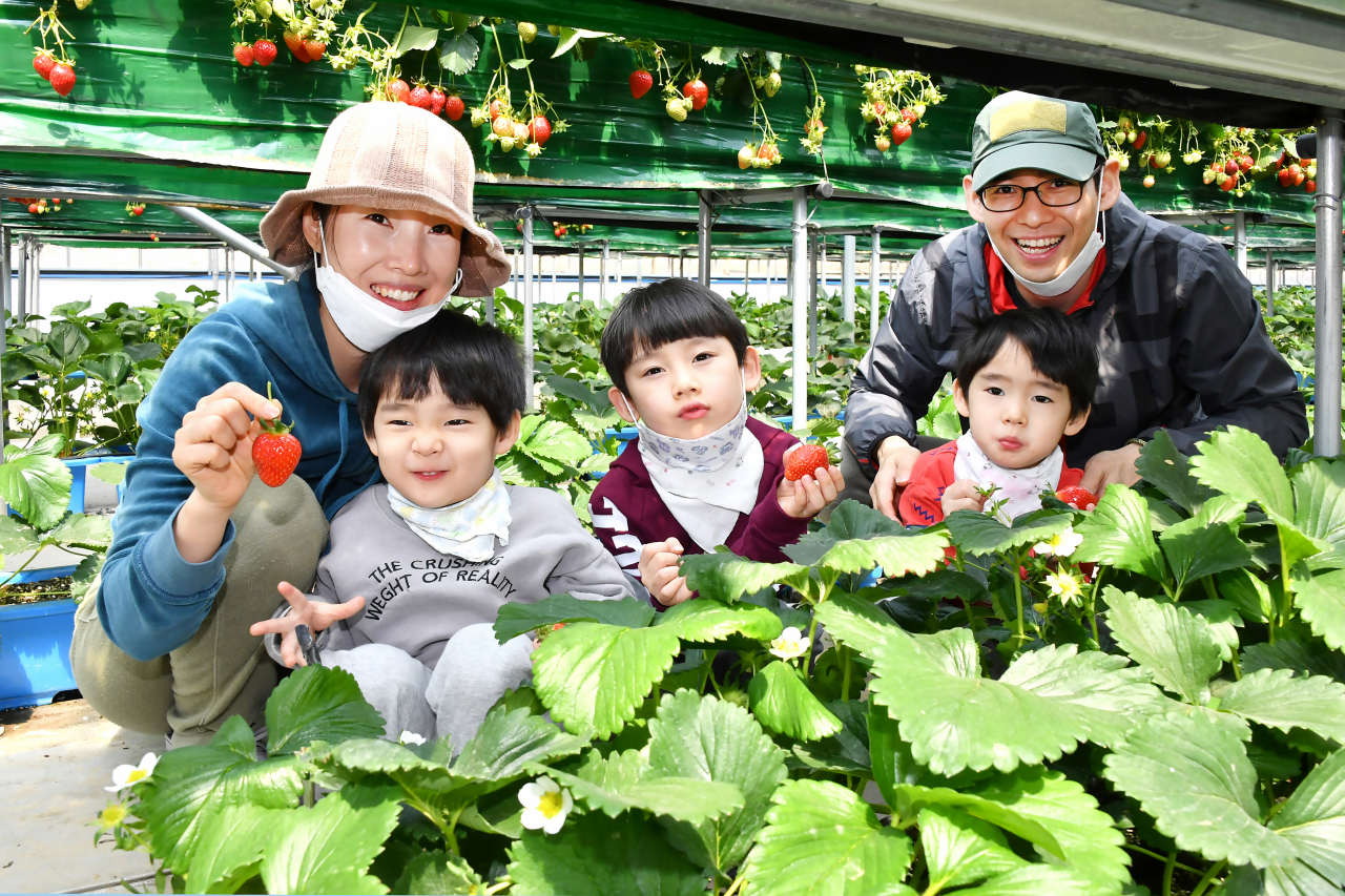 중랑구, 도심속 초록빛 물들이는 힐링시간 텃밭 가꾸는 도시농부 모집. [중랑구 제공]