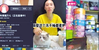 반려동물 라이브방송 모습