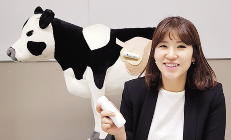 김희진 유라이크코리아 대표가 소의 반추위에 안착해 건강 정보를 감지하는 ‘바이오캡슐’의 원리를 설명하고 있다. [헤럴드DB]