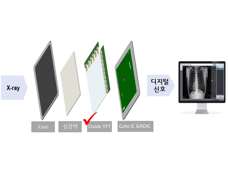 LG디스플레이의 디지털 엑스레이 검출기용(Digital X-ray Detector, 이하 DXD) Oxide TFT 개념도. [LG디스플레이 제공]