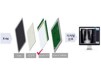 LG디스플레이의 디지털 엑스레이 검출기용(DXD) Oxide TFT 개념도. [LG디스플레이 제공]
