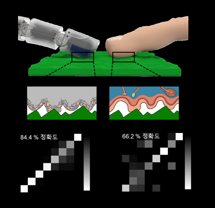 전자 피부가 물체 표면과 접촉할 때를 나타낸 모식도 및 개발된 전자 피부와 인간 피부가 임의의 물체를 감지할 수 있는 정확도.[포스텍 제공]