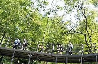 서울 서대문구 안산도시자연공원 모습. [연합]
