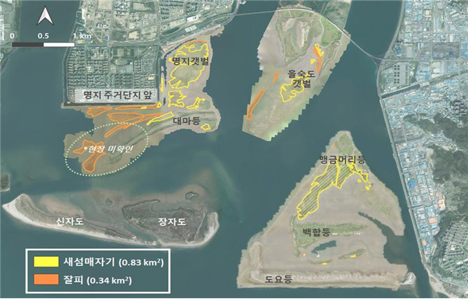 낙동강하구 ‘드론 활용 모니터링사업’ 대상지 [부산시 제공]