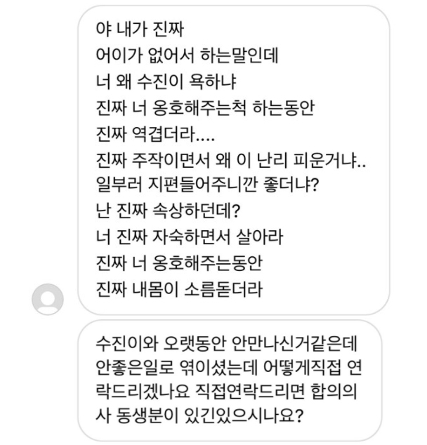 A씨가 수진의 학폭 의혹 폭로 이후 누리꾼들로부터 받은 악성 메시지 일부. [온라인 커뮤니티 캡처]