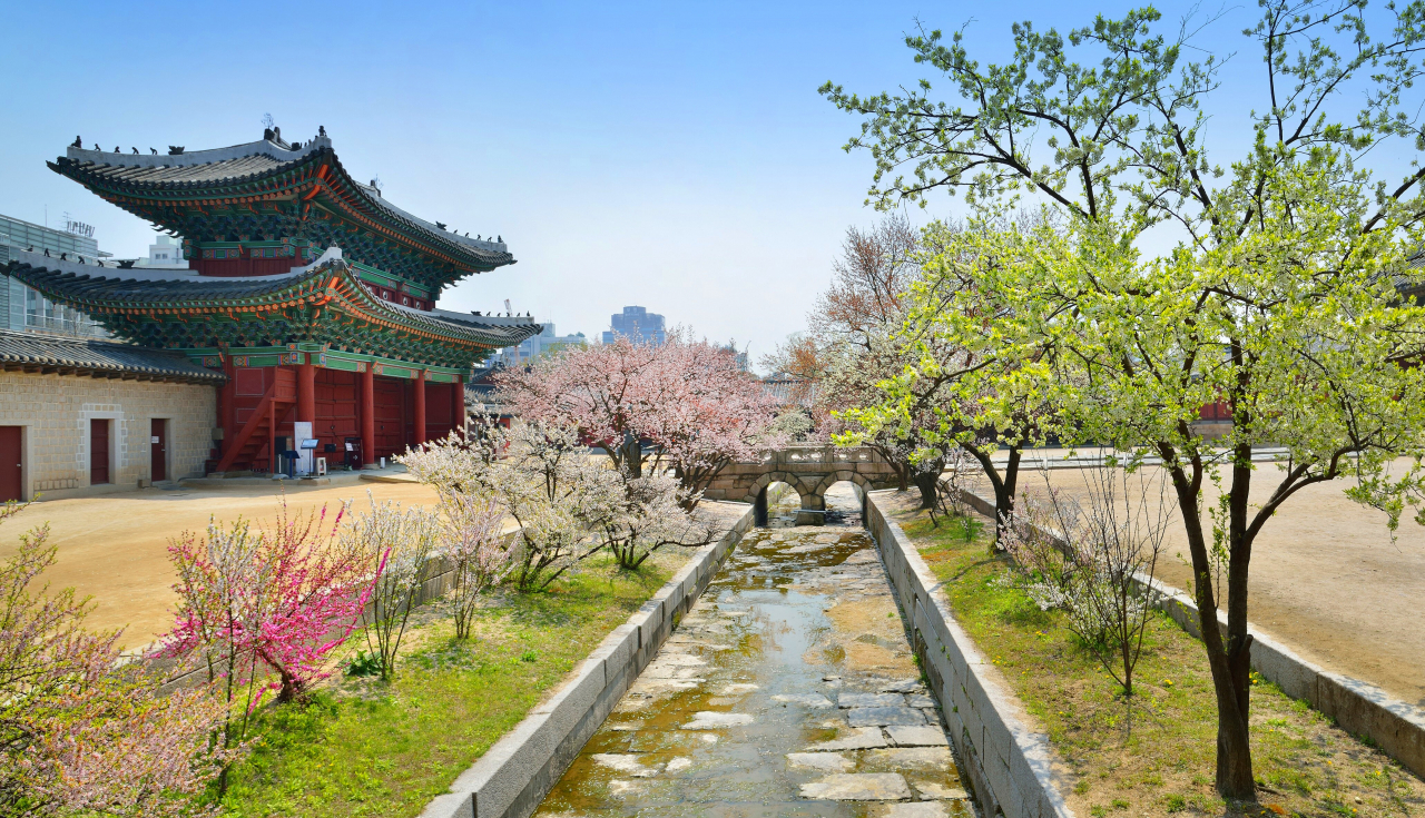 창경궁 입구 옥천교의 봄