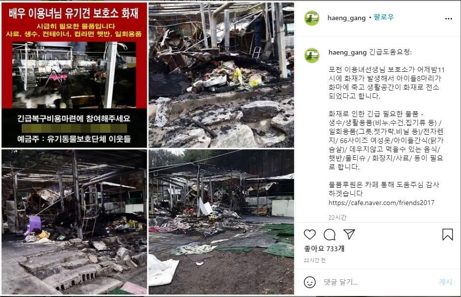 [사단법인 동물보호단체 '행강'의 인스타그램·연합]