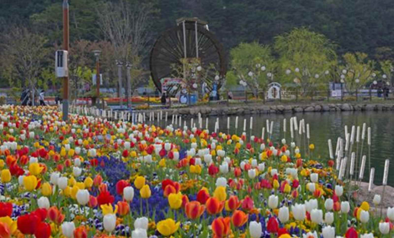 송해공원 모습.[대구시 제공]