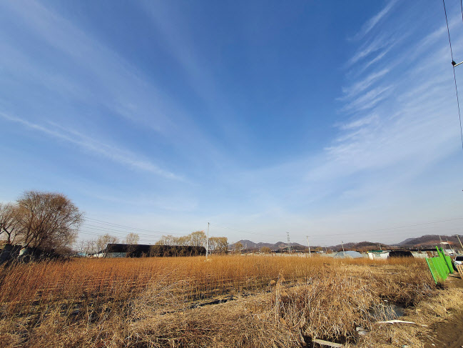 LH직원이 투기한 것으로 알려진 2040여평 부지. 인근 땅들은 모두 비닐하우스 농사를 짓거나, 고물상, 야적장, 공장부지등으로 활용이 되고 있지만 이곳은 관리자 없이 더 많은 토지보상을 노린 묘목만 심겨져 있다. 이민경 기자